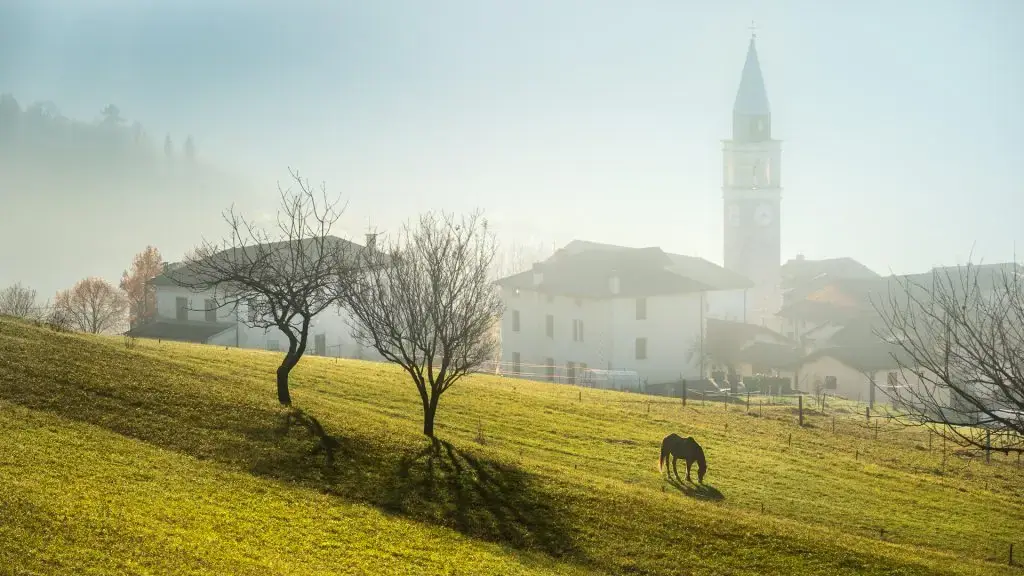 Pedalando tra i narcisi