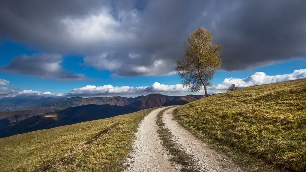 Pedalando tra i narcisi